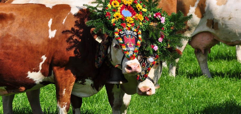 Tyrolean Traditions, Till The Cows Come Home by Air