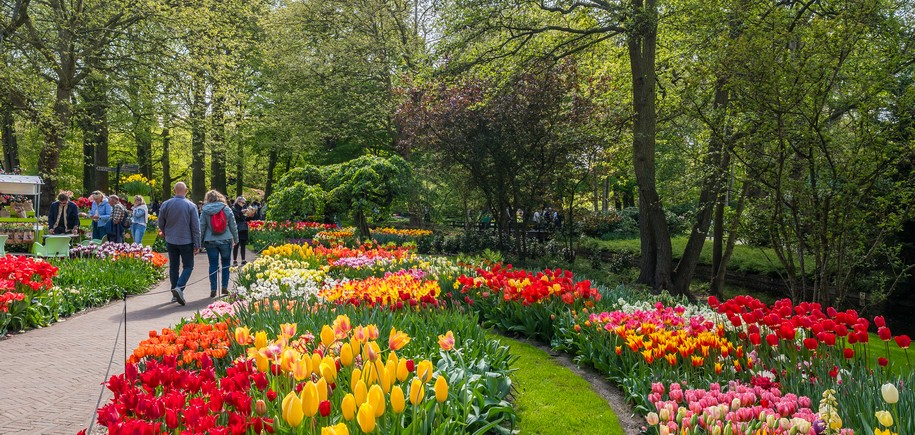 Holland in Bloom 2027